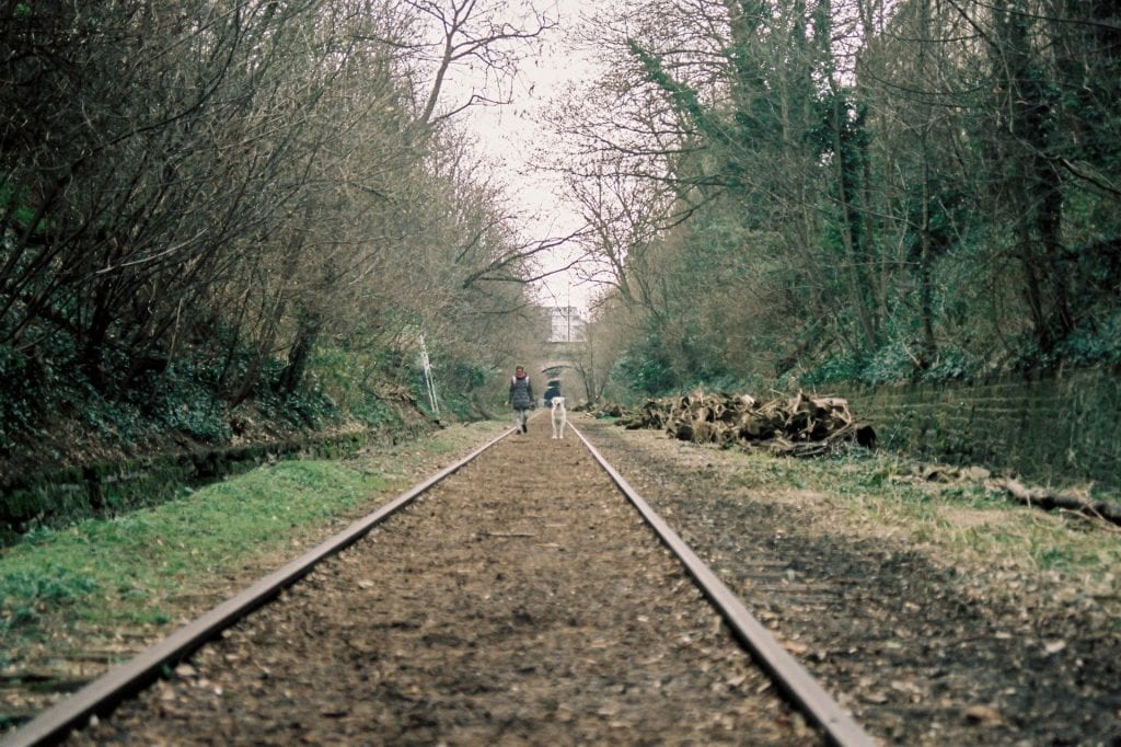 Green Train Travel: person and dog walking along train tracks