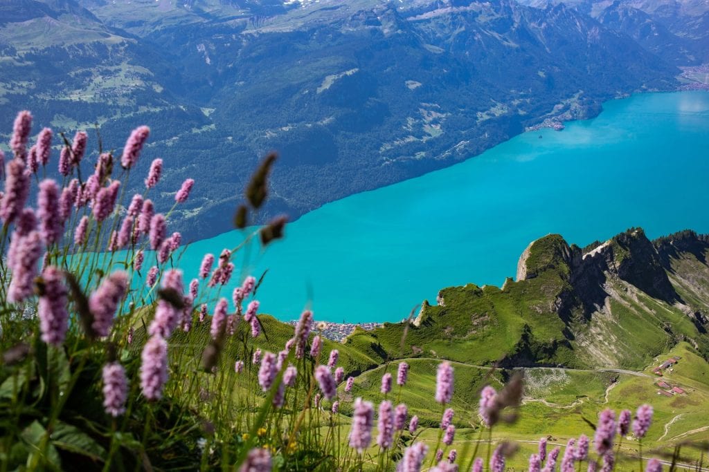 Blue alpine lake