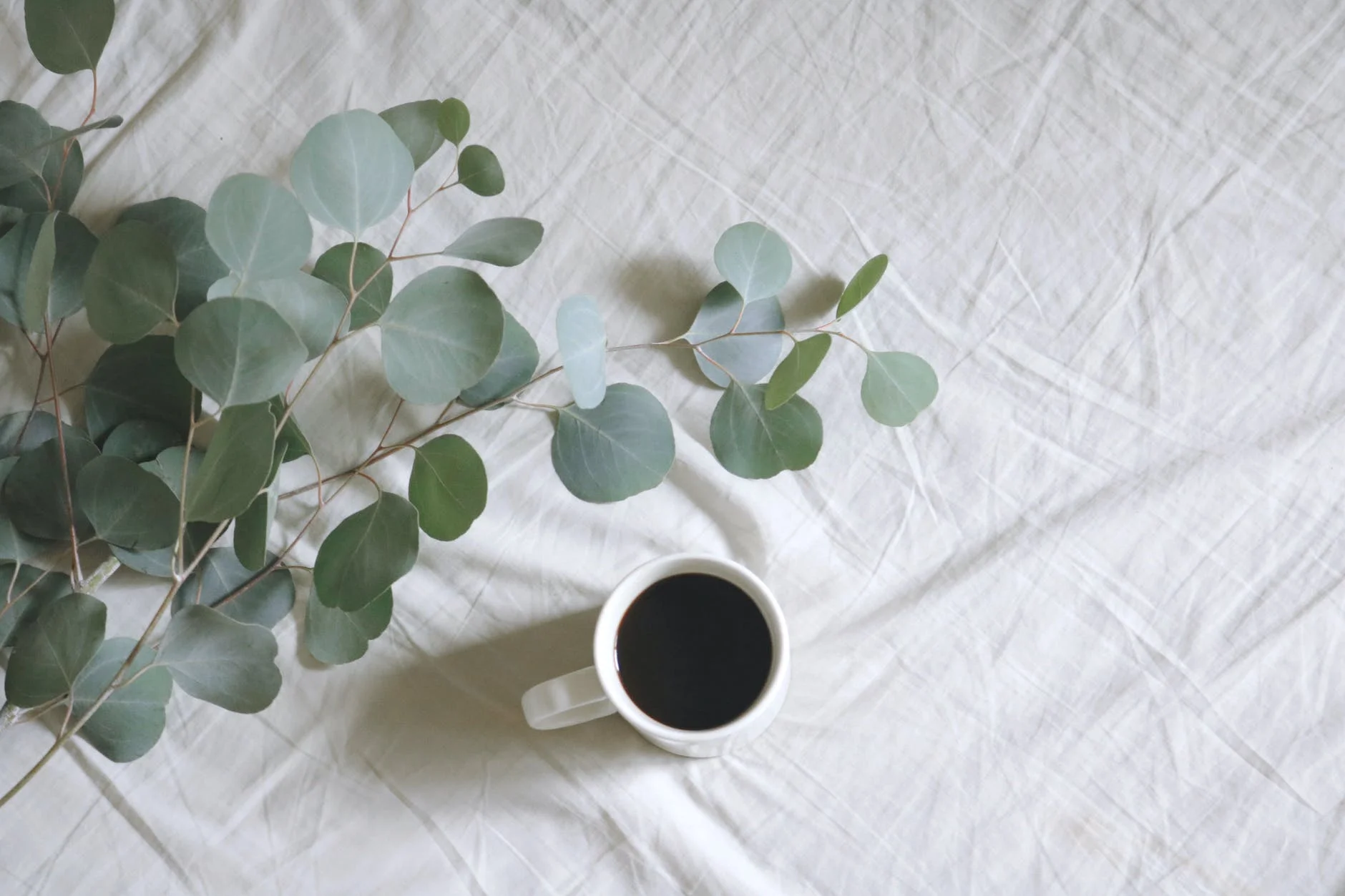 flat lay photography of white mug beside green leafed plants on linen, sustainable fabric