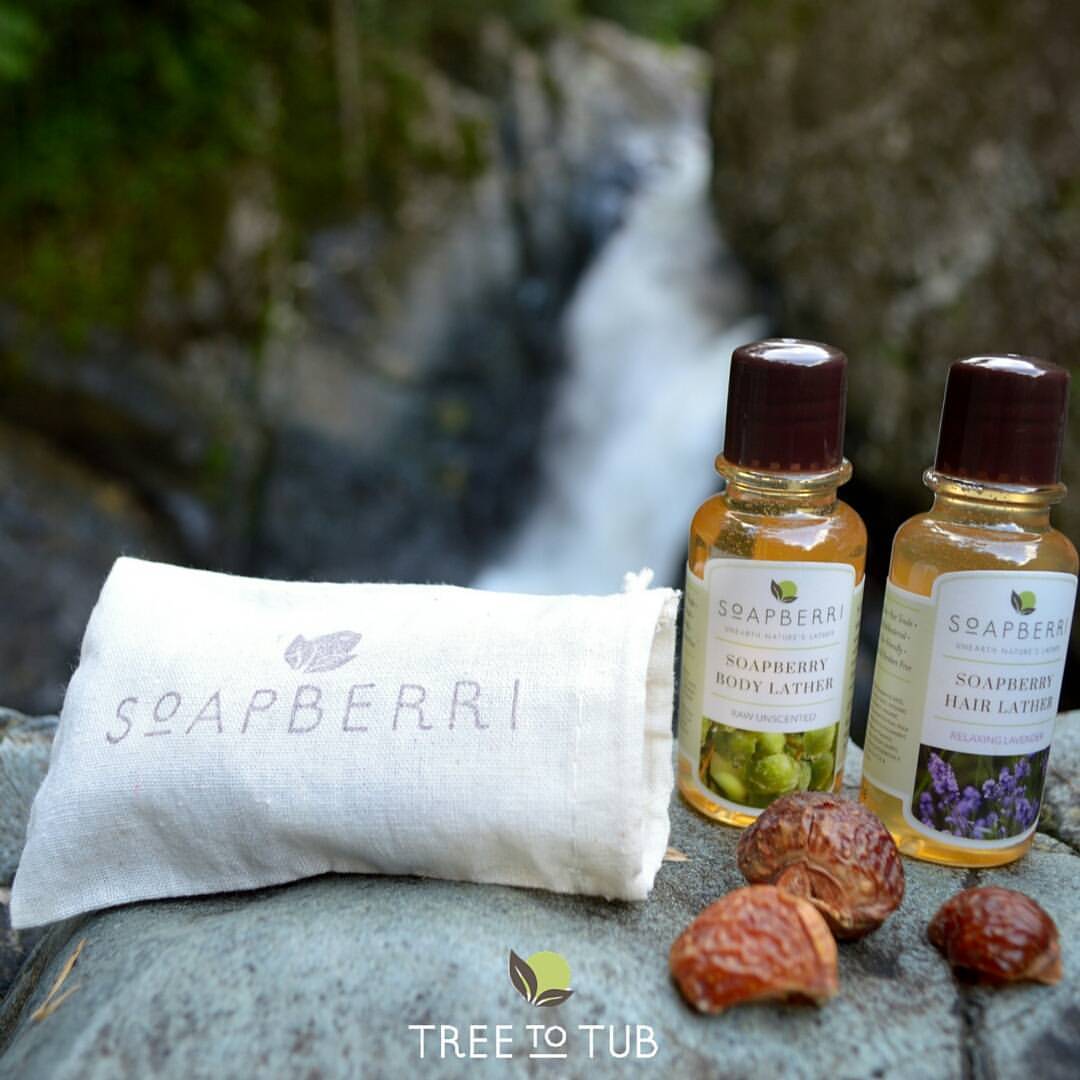 soapberries and product bottles, organic skin care