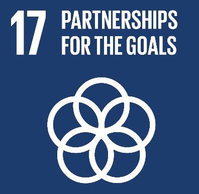 partnerships for the goals