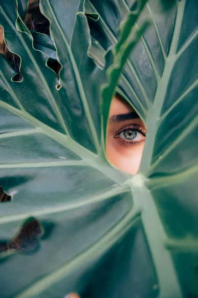 Sustainable beauty: Woman hiding behind plant