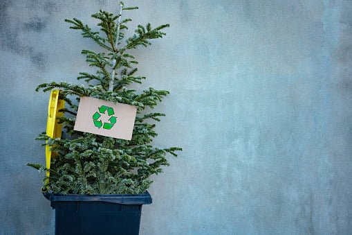 Eco-Friendly Tips For The Home: christmas tree is waste bin