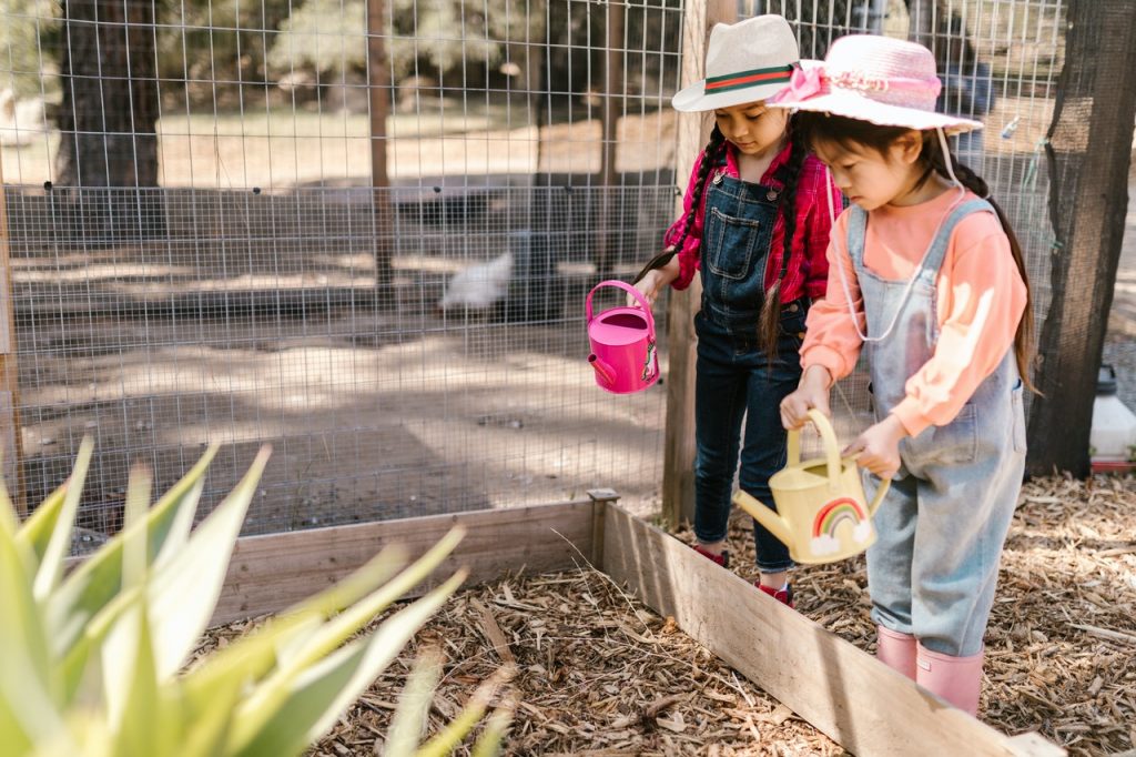 two girls watering a garden bed, exemplary of Sustainability for Kids