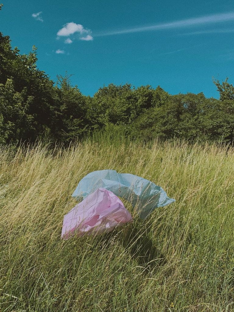 Plastic-Free Beauty Routine, bags in long grass outdoors