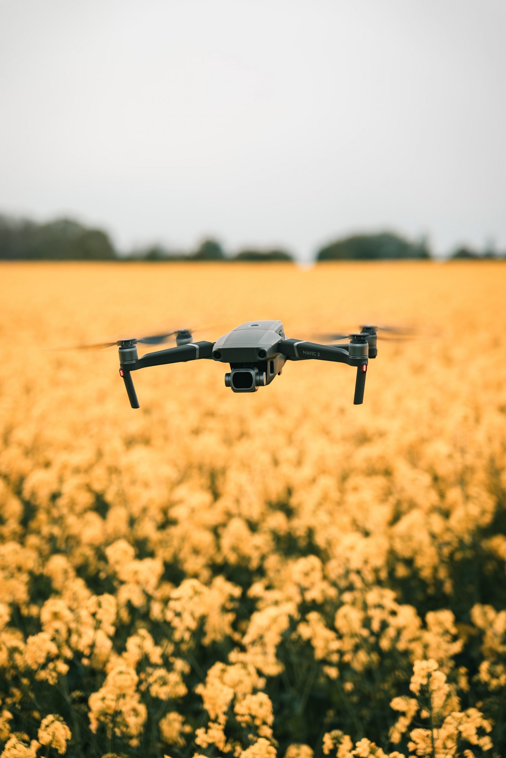 Drones and Sustainability