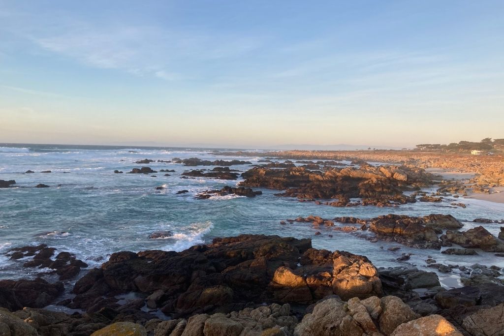 Sustainable Travel Guide to Monterey County: 17-Mile Drive