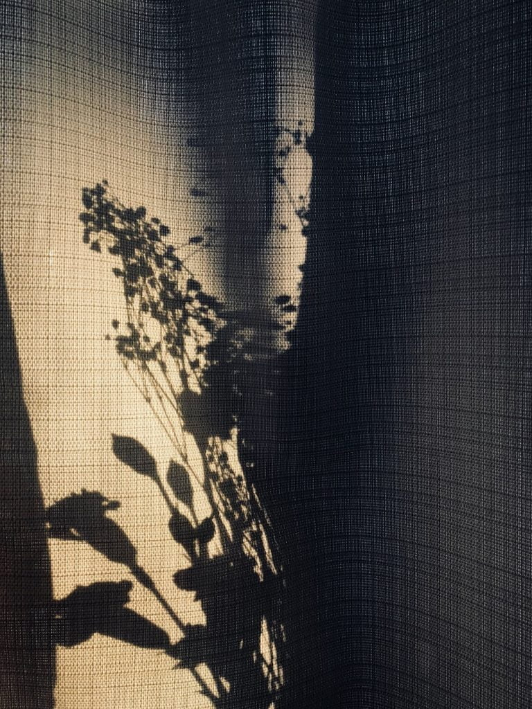 Sustainable Clothing Materials: Shadows of plants on fabric