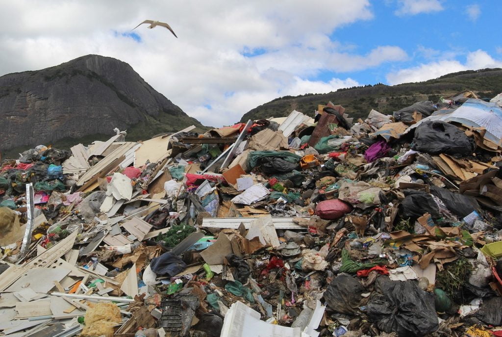 landfill with seagull overhead
