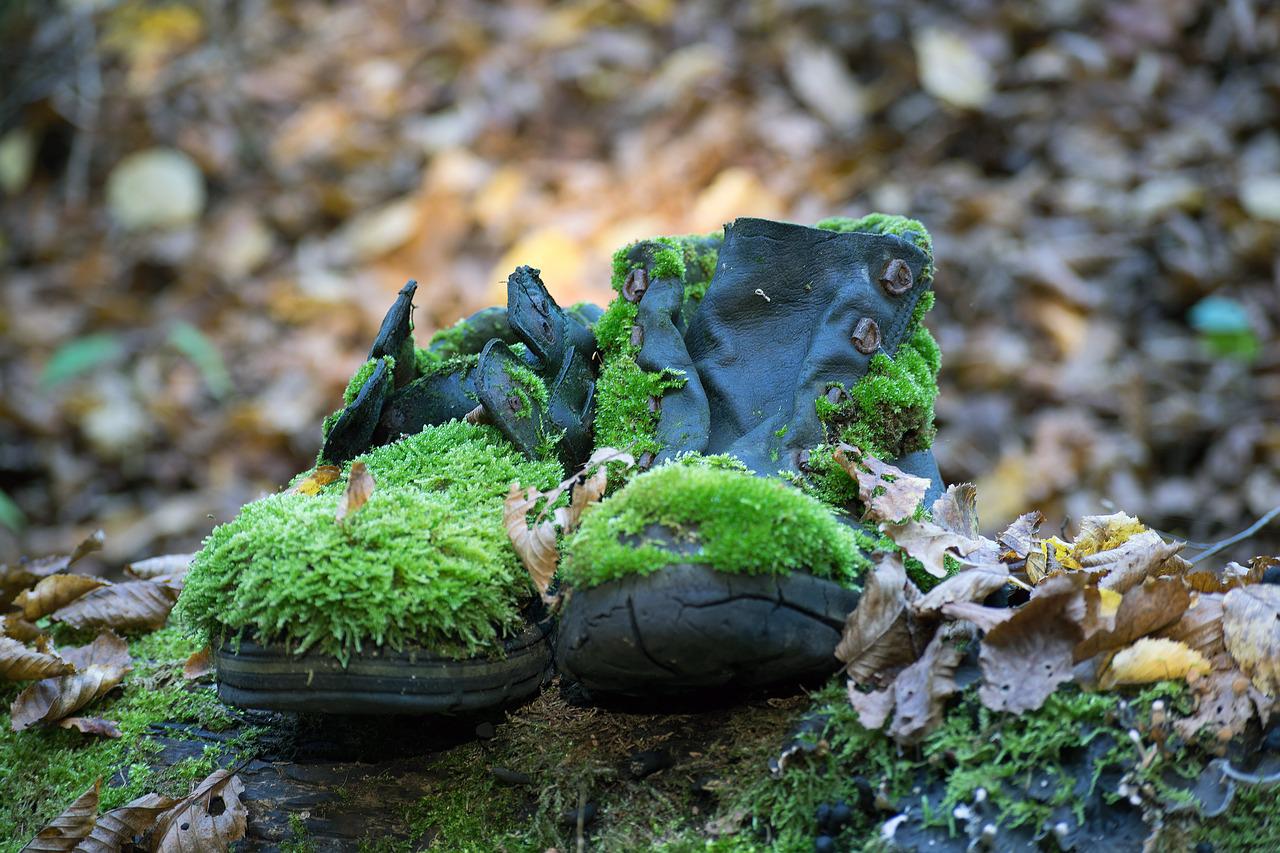 Natural steps sales health shoes