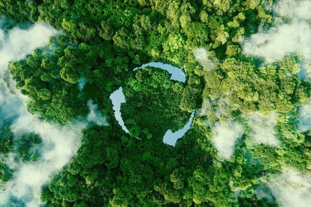 Global Recycling: The Environmental Impact and The Future