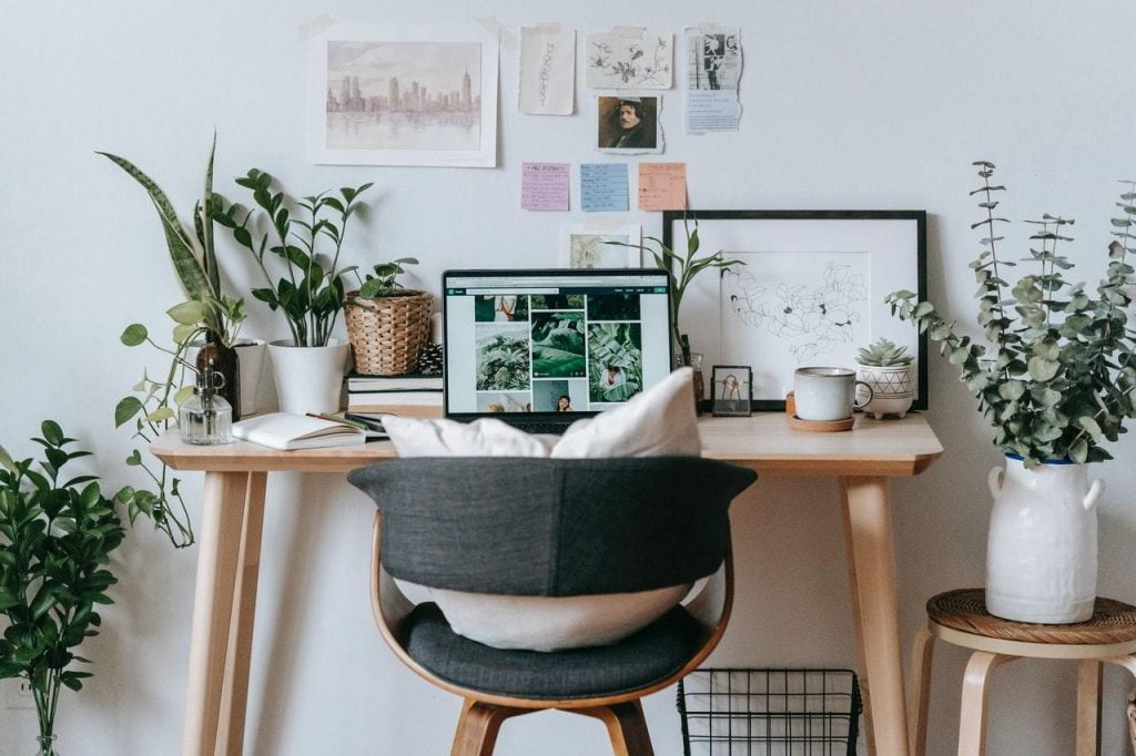 designer chair and wooden desk with laptop and many plants