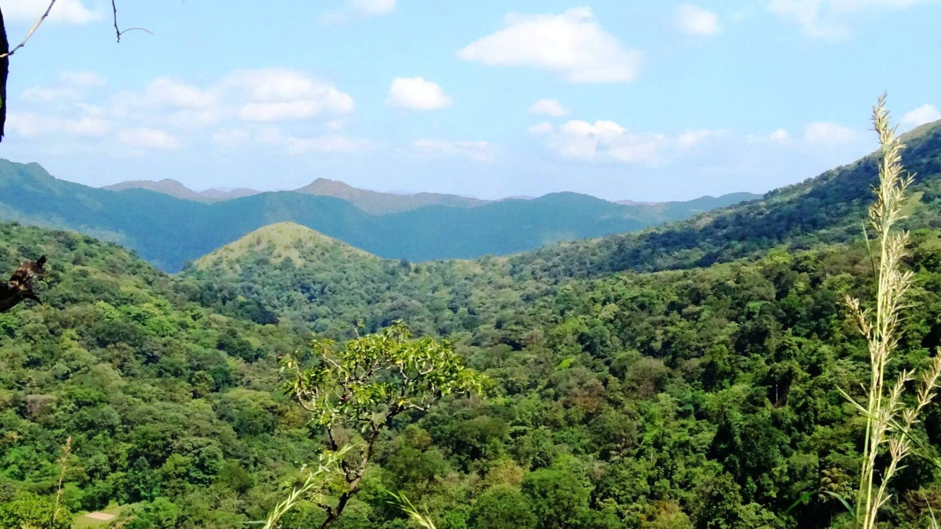 Eco-Friendly Tourism in India: Coorg, Karnataka. Green rolling forested hills