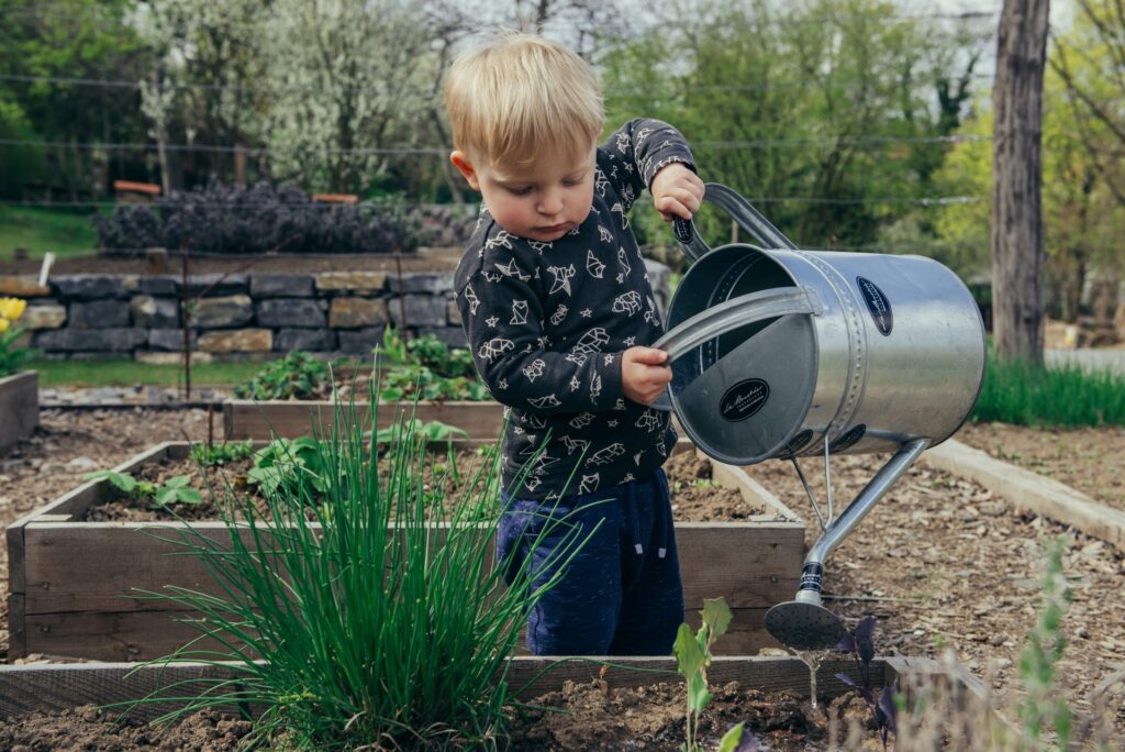 Sustainability for Kids: A young boy watering vegetable garden