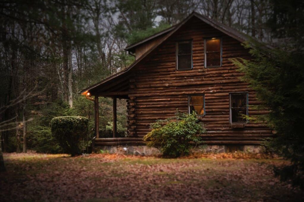 Building an Eco-friendly Cabin: log cabin in the woods