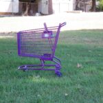 Trickle Up Economics: A purple 99 Cent Store shopping trolley abandoned in a grassy park in suburbia