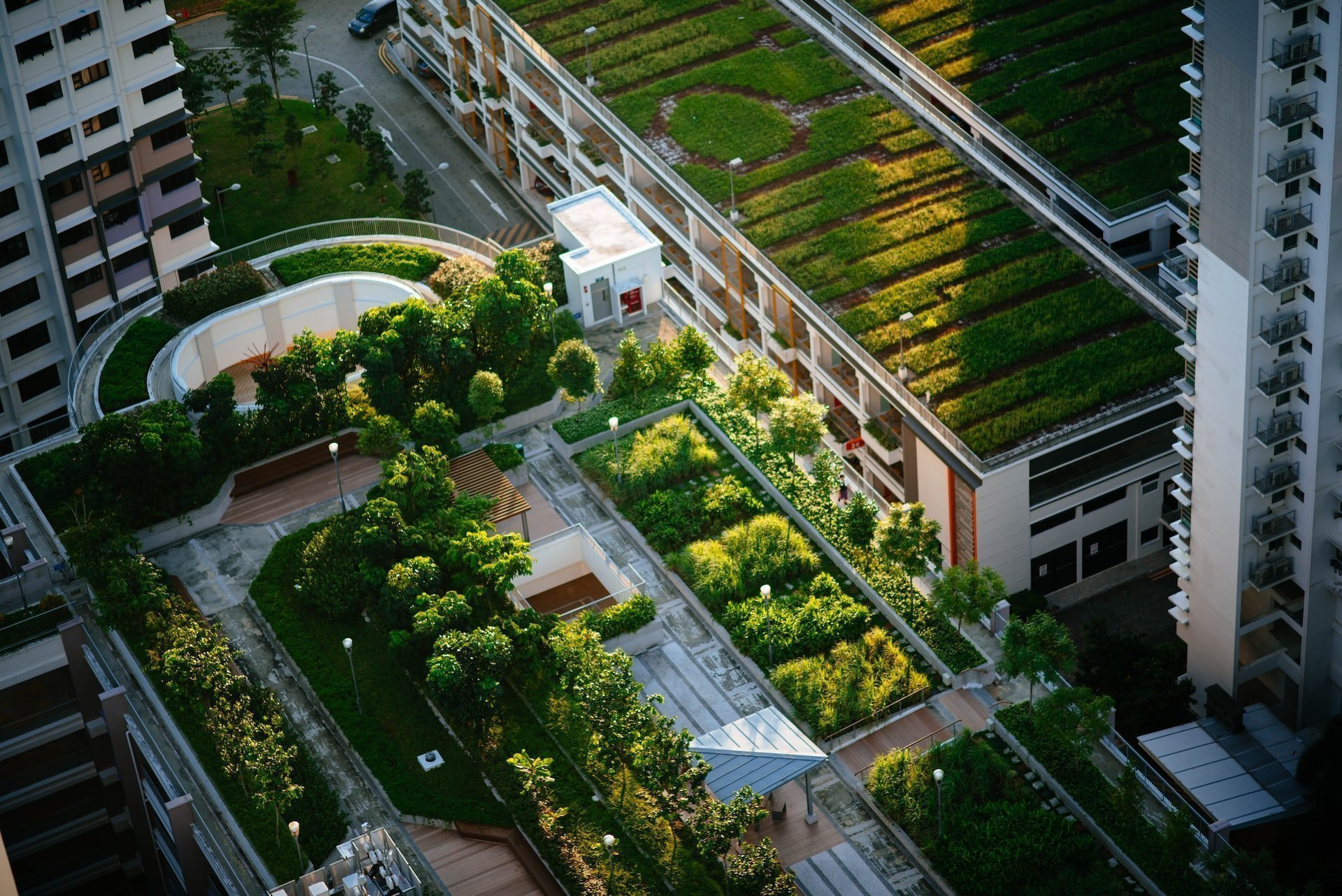 Green roof atop Commercial Real Estate