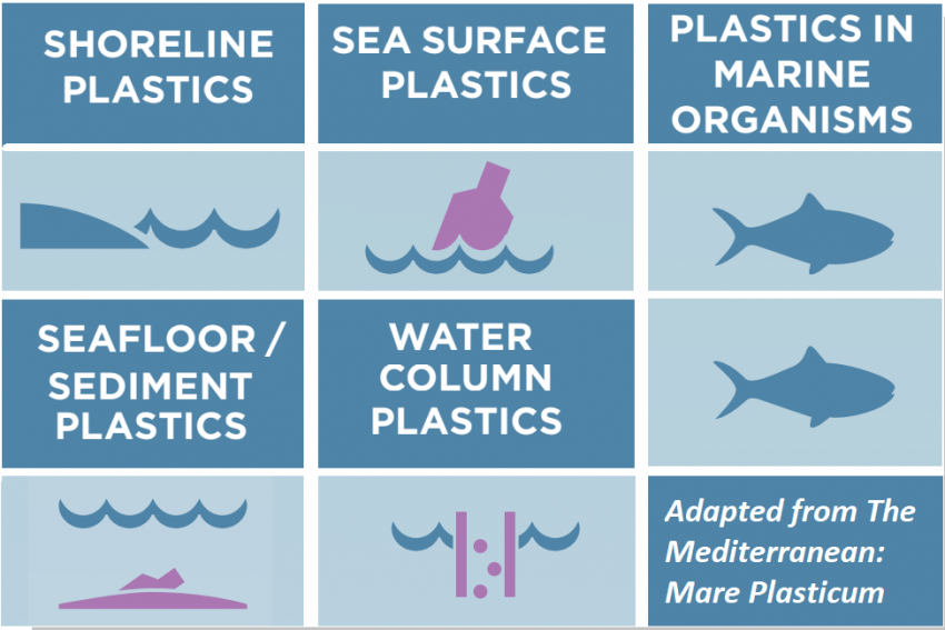 shoreline plastics, sea surface plastics, plastics in marine organisms, seafloor/sediment plastics, water column plastics