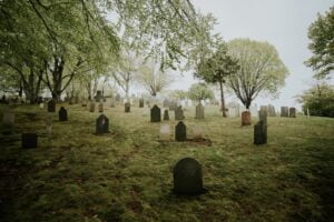A Natural Burial: tombstones in a grassy field under lush trees