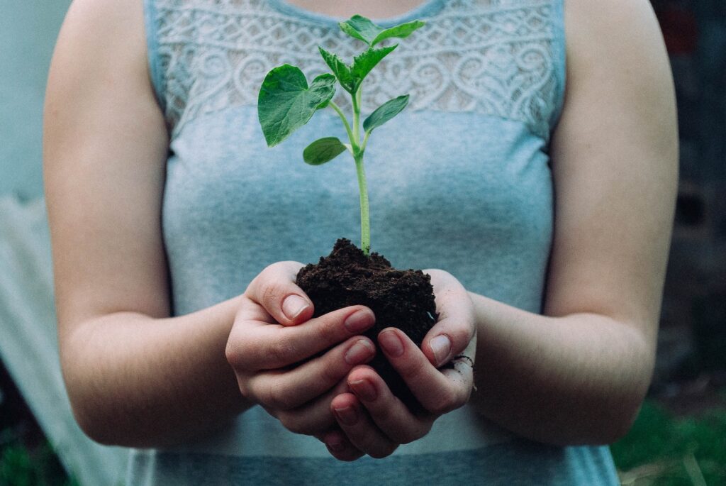 woman holding tree seedling in a handful of soil