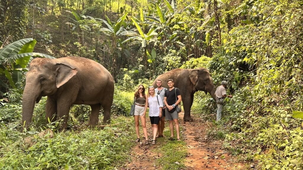 4 tourists in the firest with a guide and two elephants
