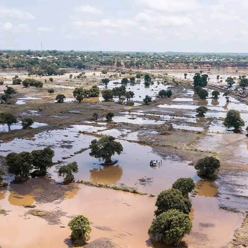 Cyclone Freddy aftermath: Farmland covered in mud and brown water as far as visible