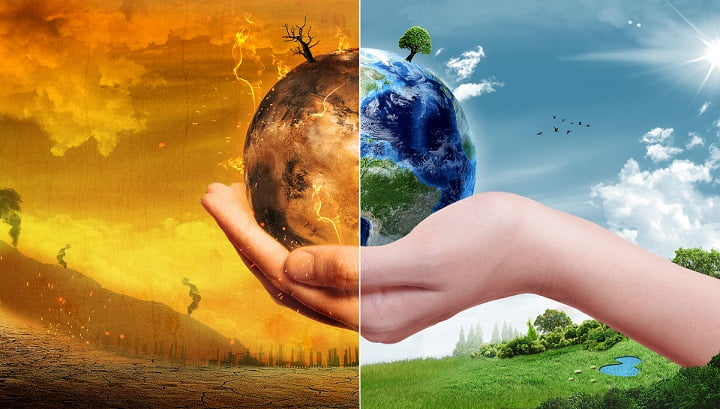 Ecosystem Guardians: NGOs Protecting Vulnerable Environments