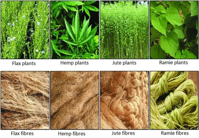 4 different fibres and the plants they're made from