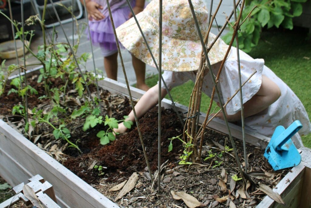 Revamp Your Garden with These Waste-Reducing Soil Covers