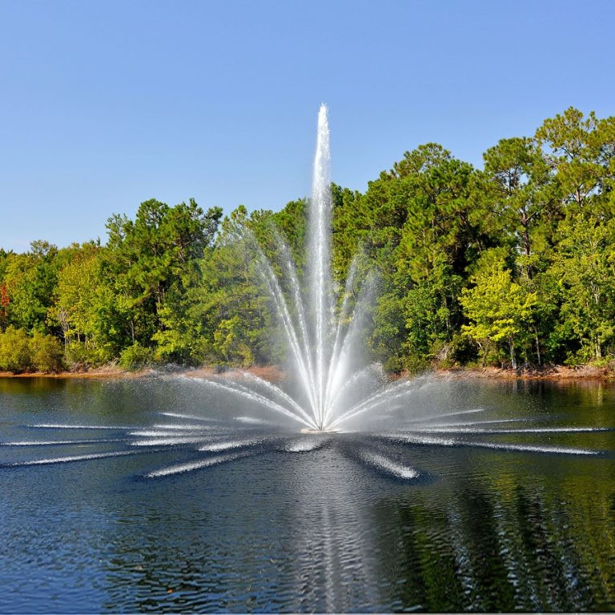 Choosing the Right Fountain Size for Ponds